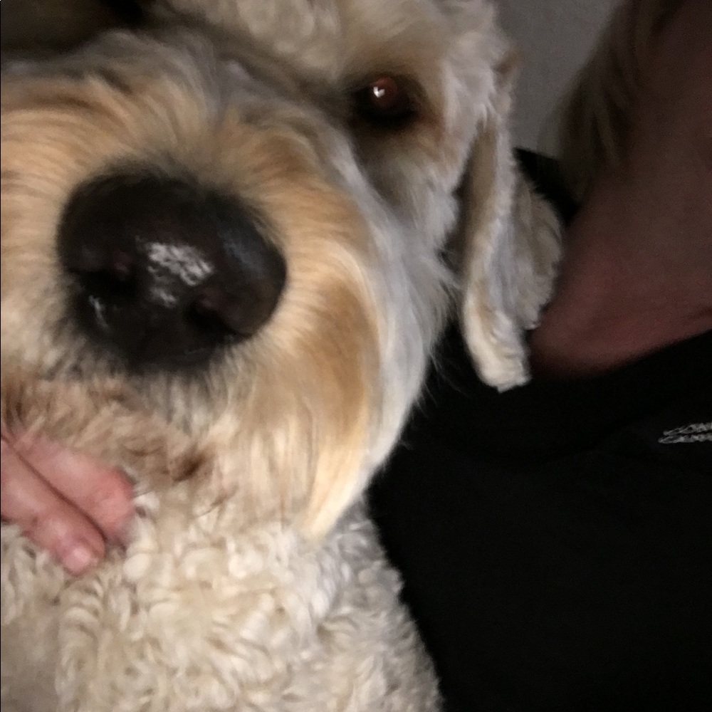 Meet your Posher, Julie